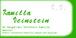 kamilla veinstein business card